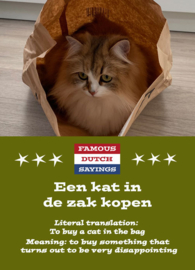 Famous Dutch Sayings - Een kat in de zak kopen