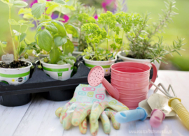 Spring gardening