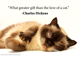 Cat quote 5