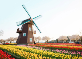 Watercolour postcard - Windmill