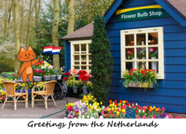 Greetings from the Netherlands - Bloembollenwinkel