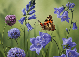 Bloemen en insecten - Vlinder
