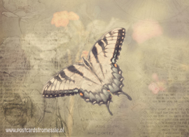 Sepia vlinder ansichtkaart