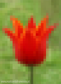 Pixel art - Tulip