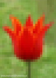 Pixel art - Tulp