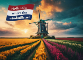 Holland is where the windmills are
