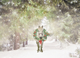 Horse with Christmas wreath