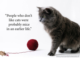 Katten quote 1