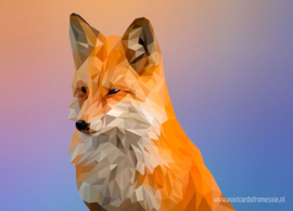 Polygon Fox
