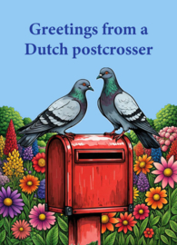 Greetings from a Dutch postcrosser - Mailbox