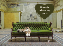 Kittycard - Home is where my cat is