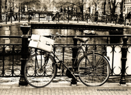 Sepia bicycle