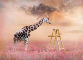 Giraffe in een bloemenveld