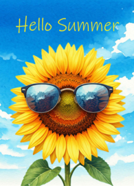 Hello Summer