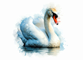 Swan