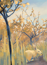 Rabbit in the forest