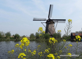 Cartoon ansichtkaart - Molen