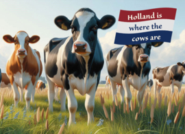 Holland is where the cows are