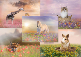 Postcard set Animals in a flower field