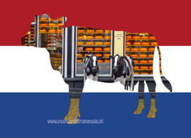 The Netherlands - country of cows