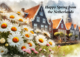 Happy Spring from the Netherlands - Daisies