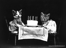 Katten vieren verjaardag