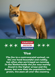 Famous Dutch Animals - Vos