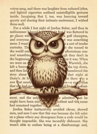 Owl