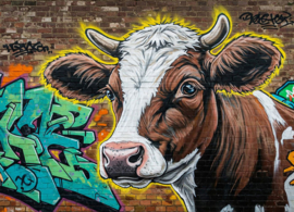 Graffiti postcard - Cow