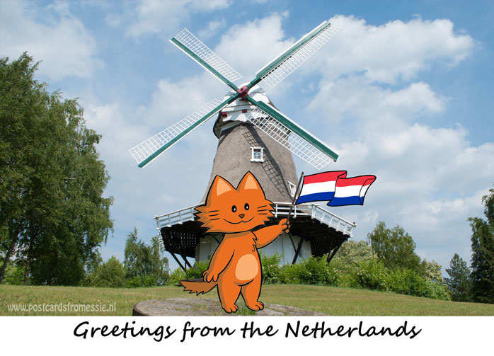 Typical Dutch Postcards Postcards From Essie