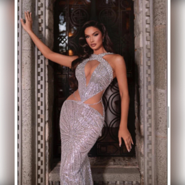 SILVER SPARK DRESS