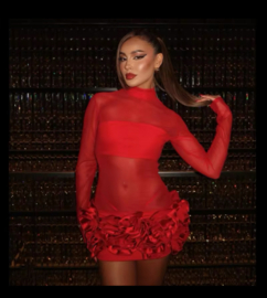 RED MESH DRESS