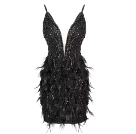 BLACK FEATHER DRESS