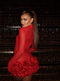 RED MESH DRESS