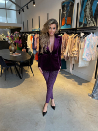 LEOPARD PURPLE TWO PIECE
