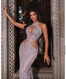 SILVER SPARK DRESS