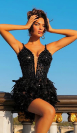 BLACK FEATHER DRESS