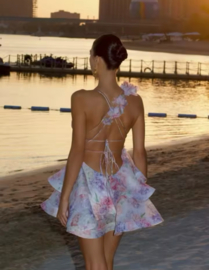 PARIS PINK DRESS