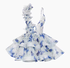 PARIS BLUE DRESS