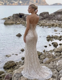 AMY SILVER DRESS