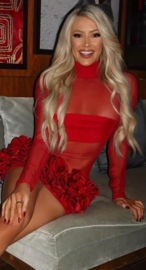 RED MESH DRESS