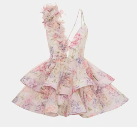 PARIS PINK DRESS