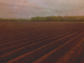 20190427 ‘Ploughed field ’