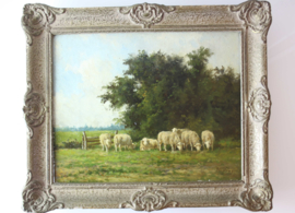 HCC Bogman (1861- 1921), schapen in weiland