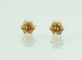 Gouden oorknoppen diamanten bloem