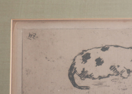 Willem de Zwart 1862-1931, studie van poezen