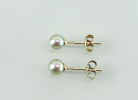 Gouden oorknoppen 14 karaat met goudkleurige parels