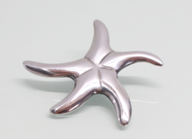 Grote zilveren hanger zeester aan collier