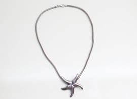 Grote zilveren hanger zeester aan collier