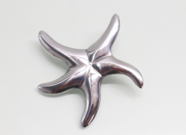 Grote zilveren hanger zeester aan collier